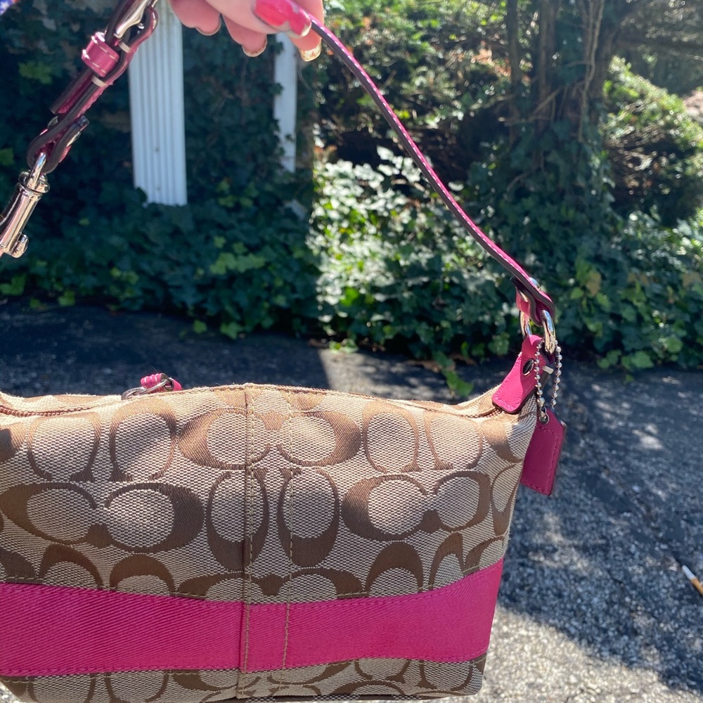 Small coach bag with fish is stripe zip